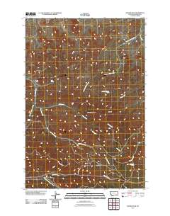 Badger Peak 2011 topographic map thumbnail