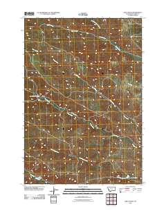 Bar V Ranch 2011 topographic map thumbnail