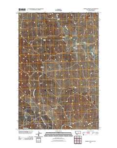 Barney Pinnacle 2011 topographic map thumbnail