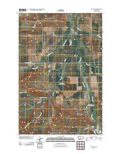 Buffalo 2011 topographic map thumbnail