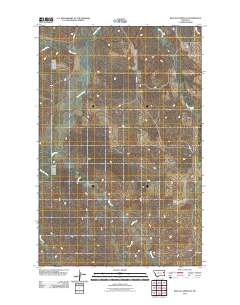 Buffalo Creek SE 2011 topographic map thumbnail