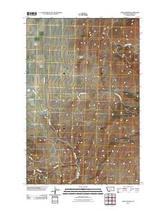 Camas Prairie 2011 topographic map thumbnail