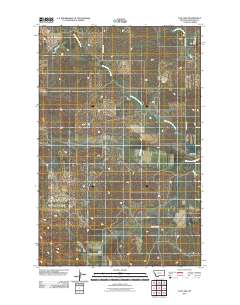 Fox Lake 2011 topographic map thumbnail