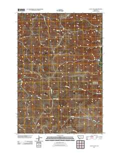 Lacey Gulch 2011 topographic map thumbnail