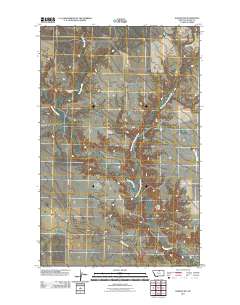 Harlem NW 2011 topographic map thumbnail