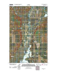 Homestead 2011 topographic map thumbnail