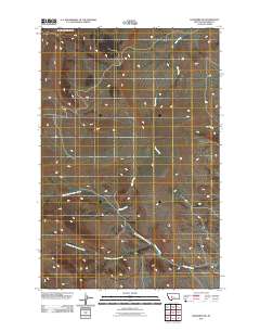 Lingshire NW 2011 topographic map thumbnail