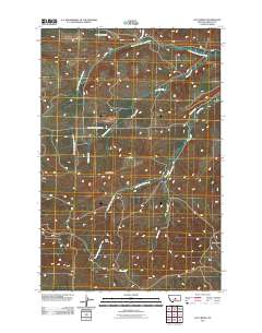 Loco Ridge 2011 topographic map thumbnail
