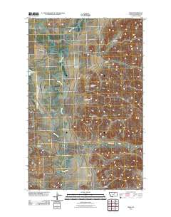 Pinks 2011 topographic map thumbnail