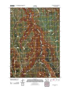 Peyote Point 2011 topographic map thumbnail