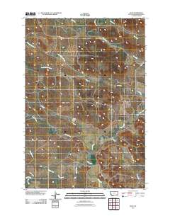 Olive 2011 topographic map thumbnail