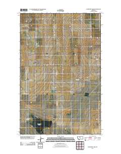 Lonesome Lake 2011 topographic map thumbnail