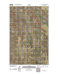 Tule Valley West 2011 topographic map thumbnail