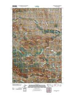 Starr School 2011 topographic map thumbnail