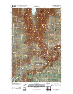 Buffalo Bridge 2011 topographic map thumbnail