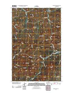Bowery Peak 2011 topographic map thumbnail