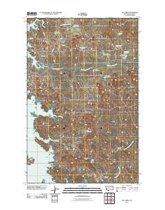 Bug Creek 2011 topographic map thumbnail
