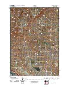 Blue Spring 2011 topographic map thumbnail