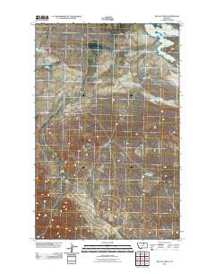 Big Flat West 2011 topographic map thumbnail