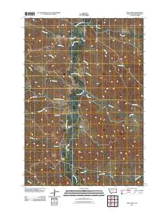 Pine Creek 2011 topographic map thumbnail