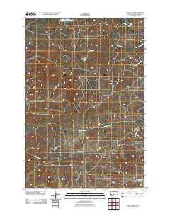 Ryan Creek 2011 topographic map thumbnail