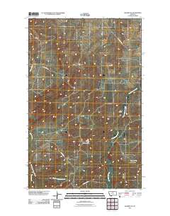 Shambo NE 2011 topographic map thumbnail