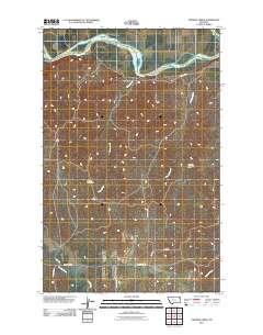Twomile Creek 2011 topographic map thumbnail