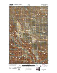 Rattlesnake 2011 topographic map thumbnail