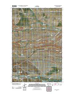 Twin Lakes 2011 topographic map thumbnail