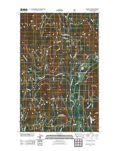 Bonnet Top 2011 topographic map thumbnail