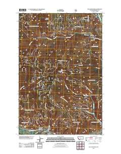 Blue Mountain 2011 topographic map thumbnail