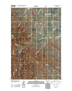 Alkali Lake 2011 topographic map thumbnail