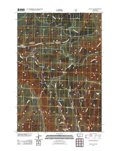 Big Ice Cave 2011 topographic map thumbnail