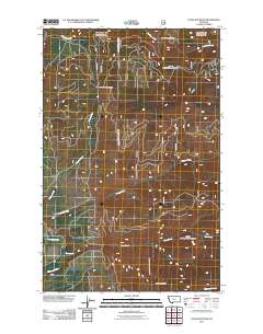 Cook Mountain 2011 topographic map thumbnail