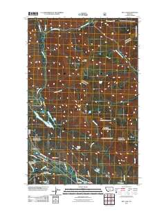 Bull Lake 2011 topographic map thumbnail