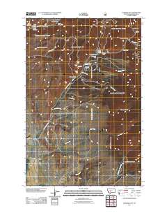 Diamond City 2011 topographic map thumbnail