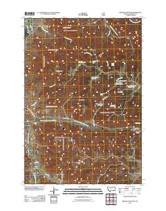 Browns Mountain 2011 topographic map thumbnail