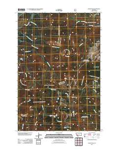 Dickie Peak 2011 topographic map thumbnail