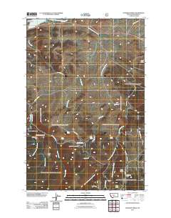 Fourmile Spring 2011 topographic map thumbnail