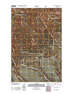 Jellison Place 2011 topographic map thumbnail