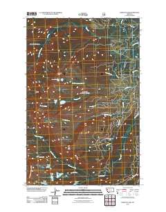 Hemlock Lake 2011 topographic map thumbnail