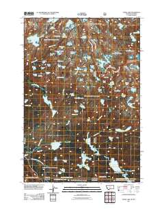 Fossil Lake 2011 topographic map thumbnail