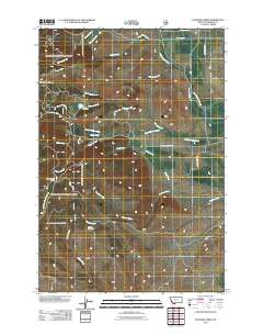Leonard Creek 2011 topographic map thumbnail