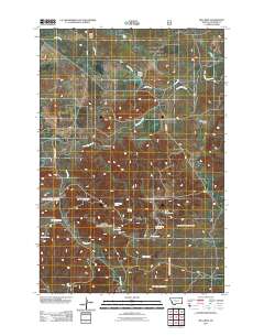 Mill Iron 2011 topographic map thumbnail
