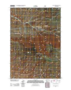 Indian Spring 2011 topographic map thumbnail