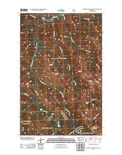 Morningstar Mountain 2011 topographic map thumbnail