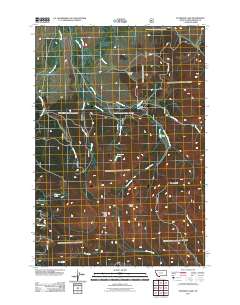 Peterson Lake 2011 topographic map thumbnail