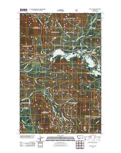 Loon Lake 2011 topographic map thumbnail
