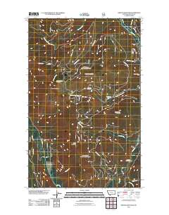 Newton Mountain 2011 topographic map thumbnail