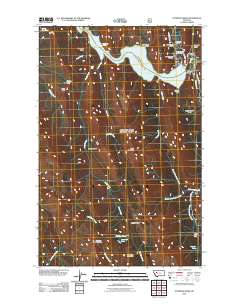 Patricks Basin 2011 topographic map thumbnail
